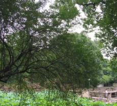 中南大学新校区