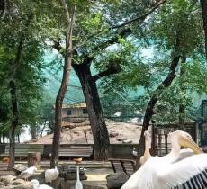 哈尔滨鸟语林动物园