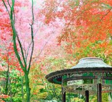 桐柏山淮源风景区