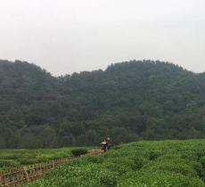 天佛指山保护区