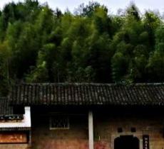 锦绶堂
