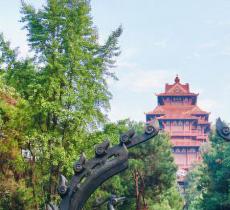 楚天台