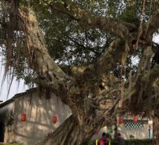 长美文体广场