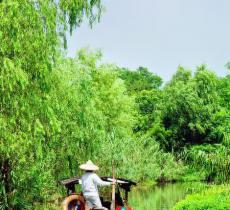 金银湖湿地公园