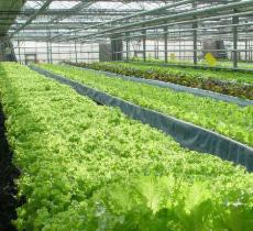 北方现代都市农业示范园