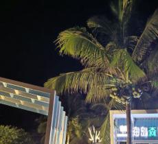 博鳌酒吧公园