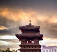 洞林寺