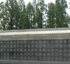 中华姓氏墙