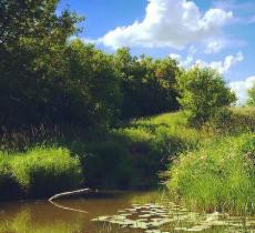 龙湖国家湿地公园