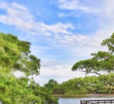 八门湾