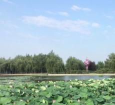 丁香科技博览园