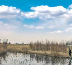 张掖国家湿地公园