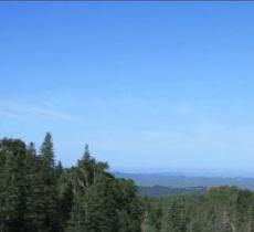 方正原始森林保护区