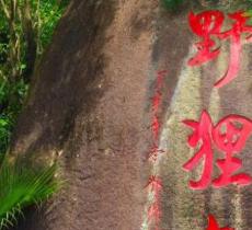 野狸岛