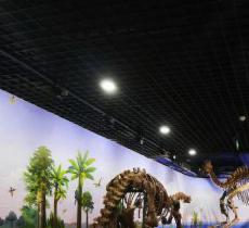 黑龙江省地质博物馆