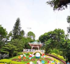 山顶公园