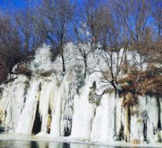 中华秋沙鸭公园