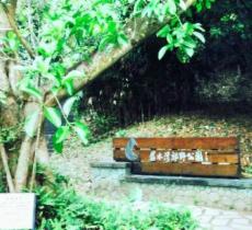 碧水湾郊野公园