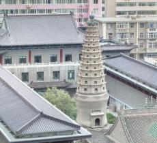 兰州市博物馆(白衣寺塔)