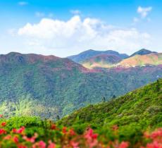 大围山国家森林公园