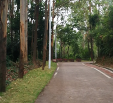 巴斯教徒墓地