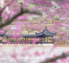 香山陵
