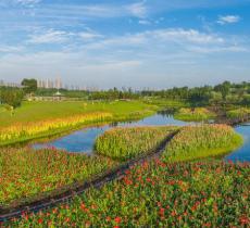 松雅湖湿地公园