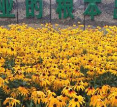 北大荒农机博览园
