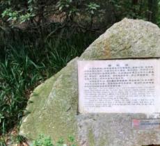 蟒蛇洞