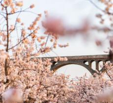 樱桃沟景区