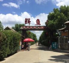 鳄鱼谷