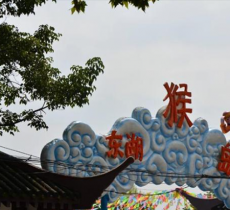 东湖猴岛