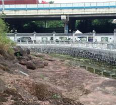 七星岗古海岸遗址