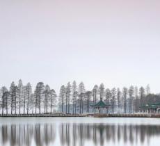 落雁岛