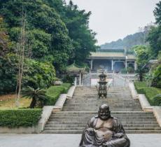 杨四将军庙