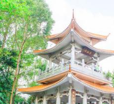 龙头山森林公园