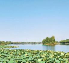 通河县月牙湖公园