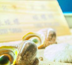 亚龙湾贝壳馆
