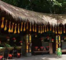 兰花谷