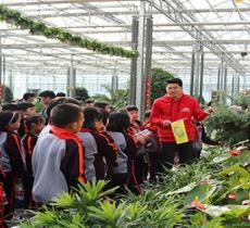 热带植物园