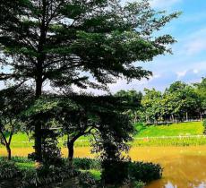 萝岗湿地公园