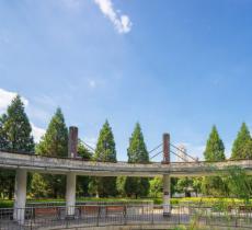 紫凤公园