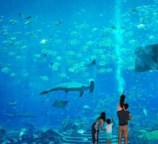 三亚亚特兰蒂斯失落的空间水族馆