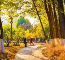 秦皇植物园