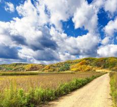 寒葱岭枫叶红色旅游观光休闲区