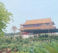 衍福寺双塔