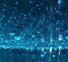 星空艺术馆