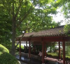 朱张渡