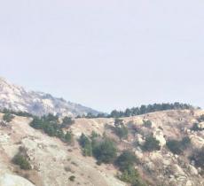 石柱山森林公园