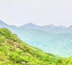 伏牛山国家级自然保护区